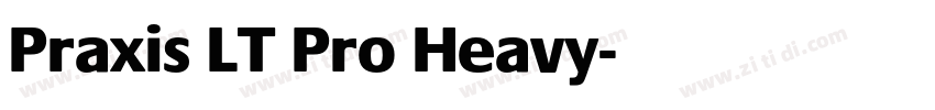 Praxis LT Pro Heavy字体转换